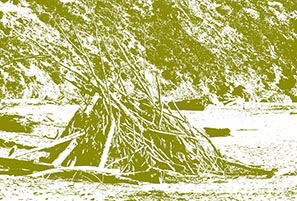 trouvaille navarro beach in mendocino county  ca. 